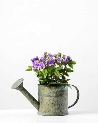 Reali Mini Rose Silk Flower  in Metal Pot