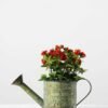 Reali Mini Rose Silk Flower  in Metal Pot