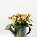 13cm Mini Rose Silk Flower  in Metal Pot