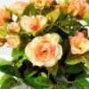 13cm Mini Rose Silk Flower  in Metal Pot