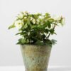 Creative Displays 19cm Mini Rose Silk Flower  in Metal Pot