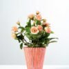 20cm Mini Rose Silk Flower  in Ceramic pot