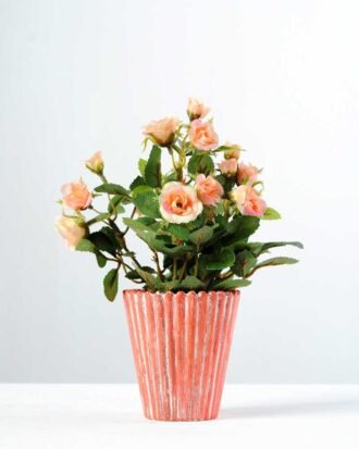 20cm Mini Rose Silk Flower  in Ceramic pot Potted Flowers&Plants YeahFlower is one of Chinese leading OEM manufacturers and exporters , supplying the silk flowers, wholesale artificial trees 20cm Mini Rose Silk Flower  in Ceramic pot