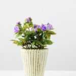 16cm Mini Rose Silk Flower  in Paper Pulp pot
