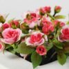 6cm Mini Rose With Wood Planter Silk Flower Arrangement 3 6cm Mini Rose With Wood Planter Silk Flower Arrangement