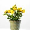 18cm Mini Rose Silk Flower  in Metal Pot