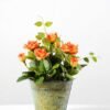 20cm Mini Rose Silk Flower  in Metal Pot