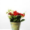 20cm Mini Rose Silk Flower  in Metal Pot