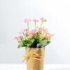 16cm Mini  Silk Flower  in Paper wrap pot