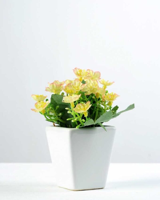 13cm Mini  Silk Flower  in Paper Pulp pot