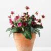 20cm Mini Silk Wild Flower Silk Flower  in Paper Pulp pot 1 20cm Mini Silk Wild Flower Silk Flower  in Paper Pulp pot