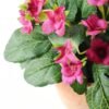 20cm Mini Silk Wild Flower Silk Flower  in Paper Pulp pot 2 20cm Mini Silk Wild Flower Silk Flower  in Paper Pulp pot