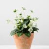 20cm Mini Silk Wild Flower Silk Flower  in Paper Pulp pot 4 20cm Mini Silk Wild Flower Silk Flower  in Paper Pulp pot