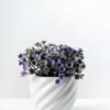 9cm Mini Wild Flower Silk Flower  in Ceramic pot 1 9cm Mini Wild Flower Silk Flower  in Ceramic pot