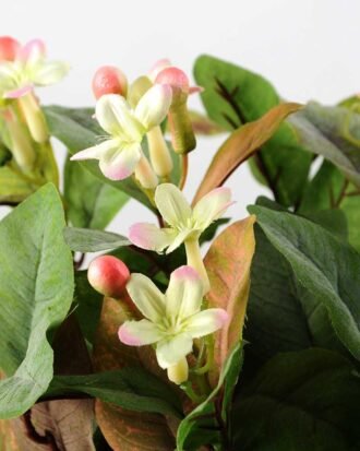 29cm Mini Wild Flower Silk Flower  in Paper Pulp pot