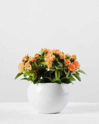 15cm Mini rose Silk Flower  in Ceramic pot Potted Flowers&Plants YeahFlower is one of Chinese leading OEM manufacturers and exporters , supplying the silk flowers, wholesale artificial trees 15cm Mini rose Silk Flower  in Ceramic pot