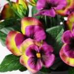 16cm Pansy Silk Flower  in Plastic pot