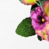 16cm Pansy Silk Flower  in Plastic pot 3 16cm Pansy Silk Flower  in Plastic pot