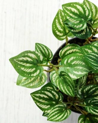 15cm Pilea Notata leaves Artificial Plant  in Plastic pot Potted Flowers&Plants YeahFlower is one of Chinese leading OEM manufacturers and exporters , supplying the silk flowers, wholesale artificial trees 15cm Pilea Notata leaves Artificial Plant  in Plastic pot