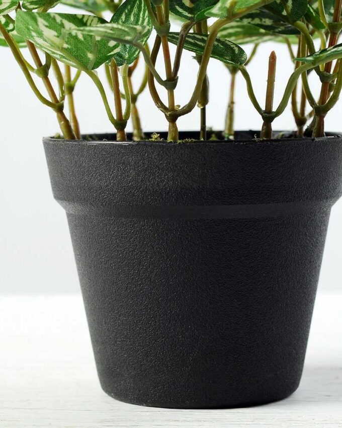 15cm Pilea Notata leaves Artificial Plant  in Plastic pot 4 15cm Pilea Notata leaves Artificial Plant  in Plastic pot