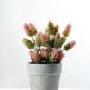 21cm Pinecone Artificial Plant  in Paper Pulp pot