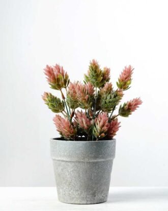 21cm Pinecone Artificial Plant  in Paper Pulp pot
