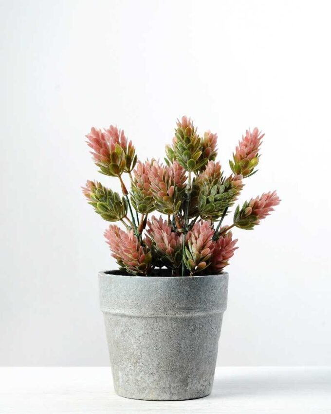 21cm Pinecone Artificial Plant  in Paper Pulp pot