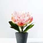 15cm Poney Silk Flower  in Paper Pulp pot
