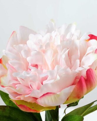 15cm Poney Silk Flower  in Paper Pulp pot