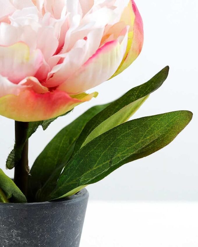 15cm Poney Silk Flower  in Paper Pulp pot