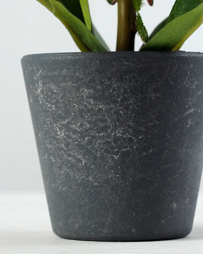 15cm Poney Silk Flower  in Paper Pulp pot