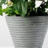 45cm Puer Leaf Artificial Plant  in Paper Pulp pot