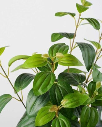 60cm Puer Leaf Artificial Plant  in Paper Pulp pot