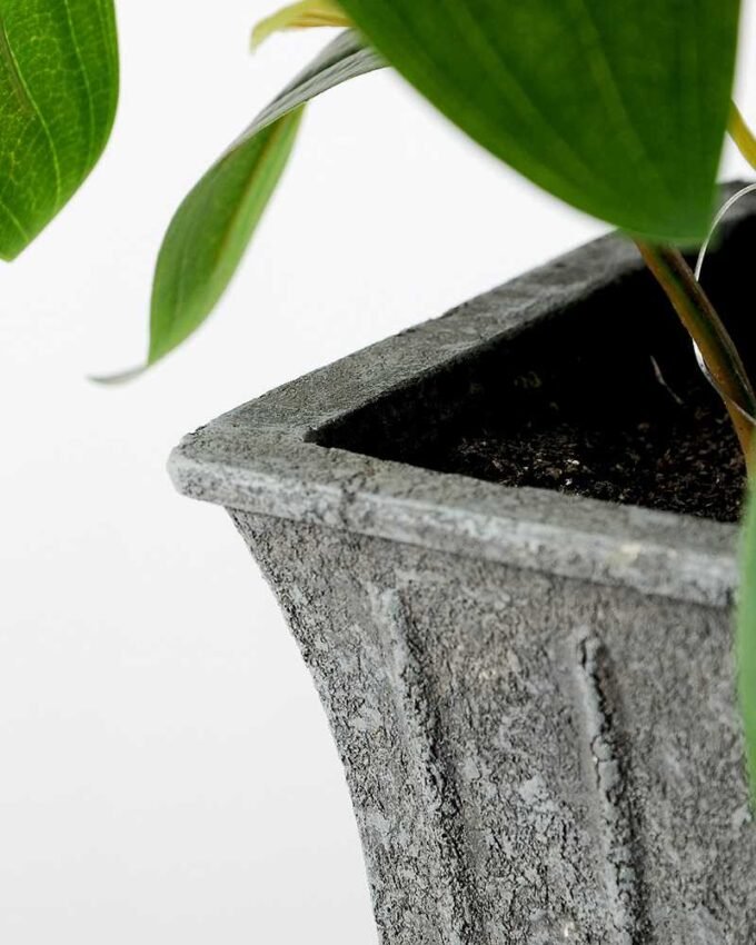 60cm Puer Leaf Artificial Plant  in Paper Pulp pot