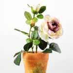 28cm Rose Silk Flower  in Paper Pulp pot