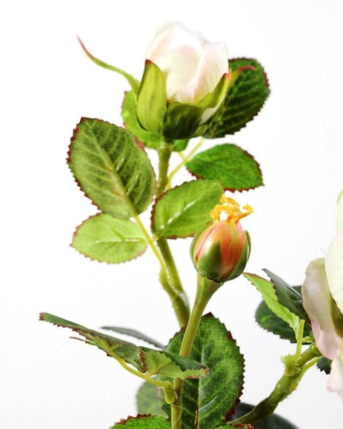 28cm Rose Silk Flower  in Paper Pulp pot