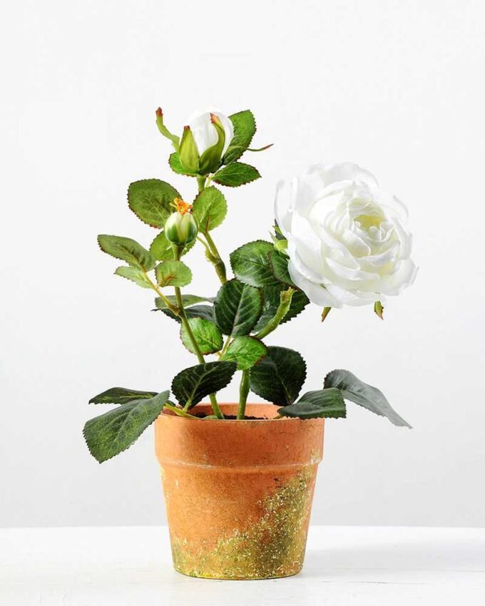 28cm Rose Silk Flower  in Paper Pulp pot