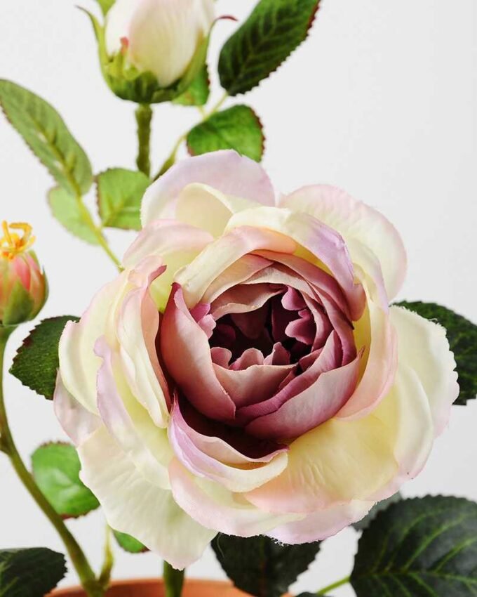 28cm Rose Silk Flower  in Paper Pulp pot