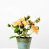 25cm Rose Silk Flower  in Metal Pot