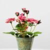 25cm Rose Silk Flower  in Metal Pot