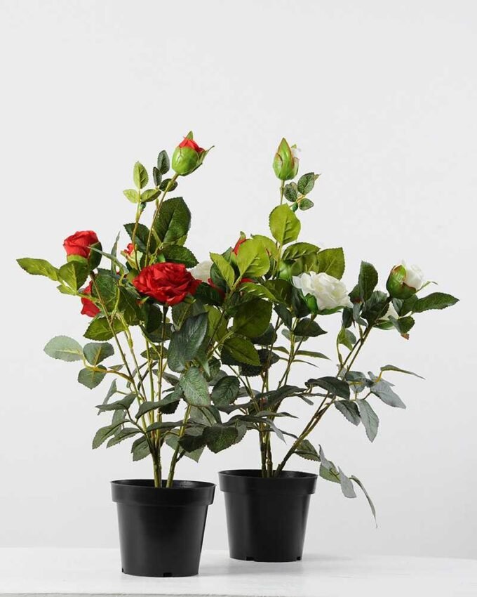 48cm Rose Silk Flower  in Plastic pot, 4 48cm Rose Silk Flower  in Plastic pot,