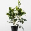 48cm Rose Silk Flower  in Plastic pot, 5 48cm Rose Silk Flower  in Plastic pot,