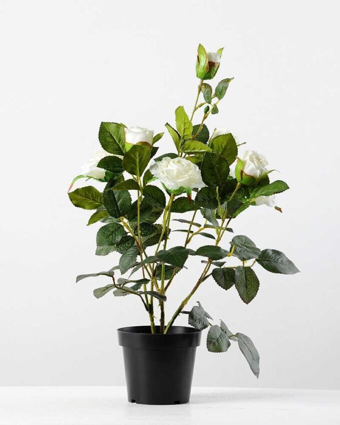 48cm Rose Silk Flower  in Plastic pot, 5 48cm Rose Silk Flower  in Plastic pot,