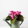 19cm Violet Silk Flower  in Metal Watering Can 1 19cm Violet Silk Flower  in Metal Watering Can