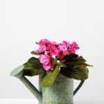 19cm Violet Silk Flower  in Metal Watering Can