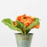 20cm Violet Silk Flower  in Metal Pot