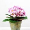 19cm Violet Silk Flower in Metal Pot 1 19cm Violet Silk Flower in Metal Pot