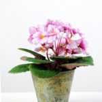 19cm Violet Silk Flower  in Metal Pot