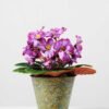 19cm Violet Silk Flower in Metal Pot 4 19cm Violet Silk Flower in Metal Pot