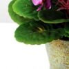 19cm Violet Silk Flower in Metal Pot 7 19cm Violet Silk Flower in Metal Pot